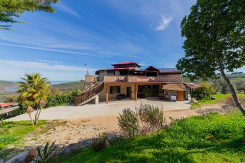Farm i Vasto, Chieti, Vasto - € 1.200.000 | Ref: 351 - foto 21