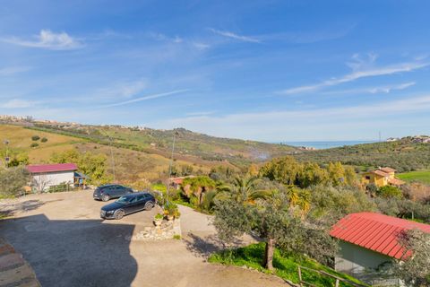 Farm i Vasto, Chieti, Vasto - € 1.200.000 | Ref: 351 - foto 36