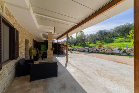 Farm i Vasto, Chieti, Vasto - € 1.200.000 | Ref: 351 - foto 48