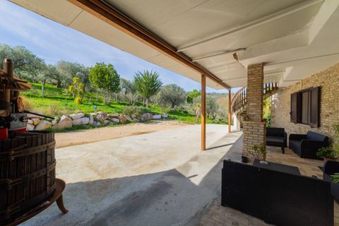 Farm i Vasto, Chieti, Vasto - € 1.200.000 | Ref: 351 - foto 49