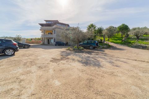 Farm i Vasto, Chieti, Vasto - € 1.200.000 | Ref: 351 - foto 50