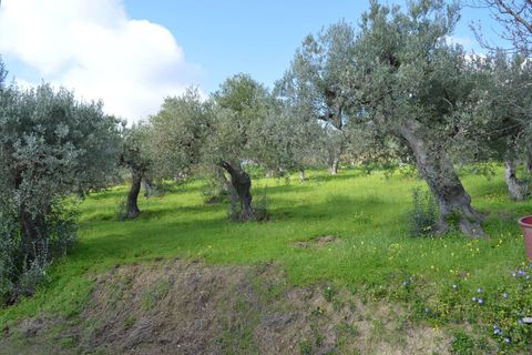 Helårsgrund i Vasto, Chieti, Vasto - € 69.000 | Ref: 353 - foto 2