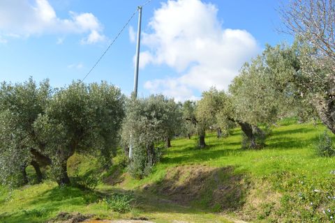 Helårsgrund i Vasto, Chieti, Vasto - € 69.000 | Ref: 353 - foto 3