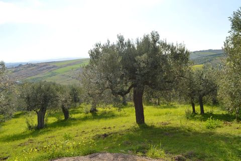 Helårsgrund i Vasto, Chieti, Vasto - € 69.000 | Ref: 353 - foto 5