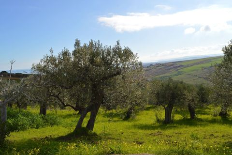 Helårsgrund i Vasto, Chieti, Vasto - € 69.000 | Ref: 353 - foto 6