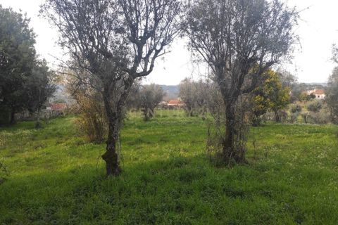 Helårsgrund i Viseu, Viseu, Viseu - € 65.000 | Ref: C0203-02591 - foto 3