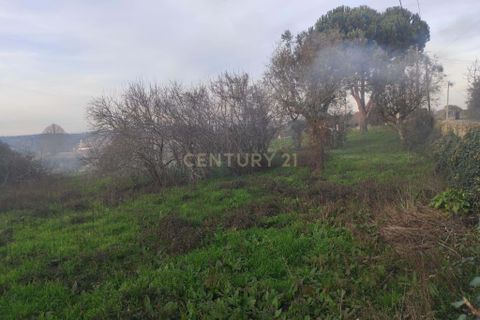 Helårsgrund i Viseu, Viseu, Viseu - € 65.000 | Ref: C0203-02591 - foto 7
