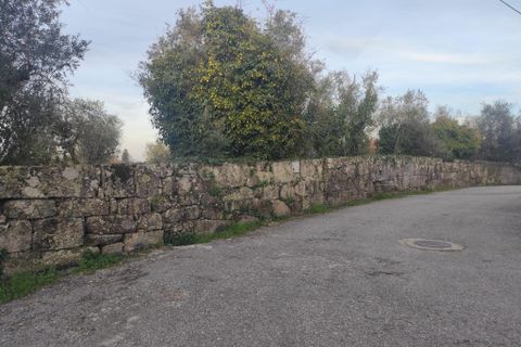 Helårsgrund i Viseu, Viseu, Viseu - € 65.000 | Ref: C0203-02591 - foto 8