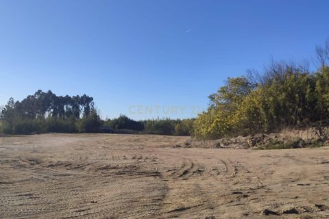 Helårsgrund i Celorico da Beira, Guarda, Celorico da Beira - € 40.000 | Ref: C0203-02590 - foto 1