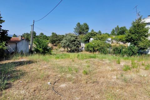 Helårsgrund i Celorico da Beira, Guarda, Celorico da Beira - € 40.000 | Ref: C0203-02590 - foto 5