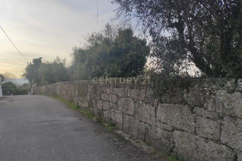 Helårsgrund i Viseu, Viseu, Viseu - € 65.000 | Ref: C0203-02592 - foto 3