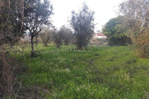 Helårsgrund i Viseu, Viseu, Viseu - € 65.000 | Ref: C0203-02592 - foto 5