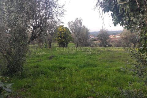 Helårsgrund i Viseu, Viseu, Viseu - € 65.000 | Ref: C0203-02592 - foto 7