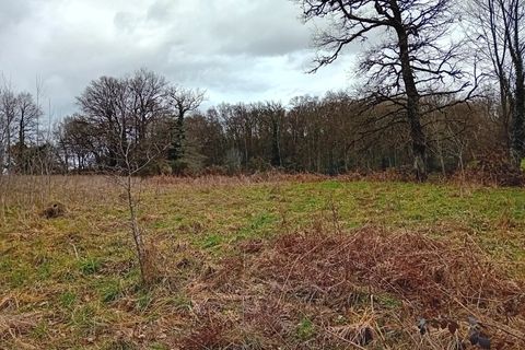 Terra a Maurs, Cantal, Maurs - € 49.500 | Ref: 470 - foto 3
