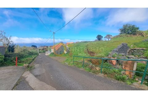 Terra a Ponta do Pargo, Madeira, Ponta do Pargo - € 135.000 | Ref: 028-050 - foto 4