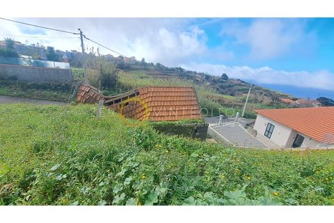Terra a Ponta do Pargo, Madeira, Ponta do Pargo - € 135.000 | Ref: 028-050 - foto 6