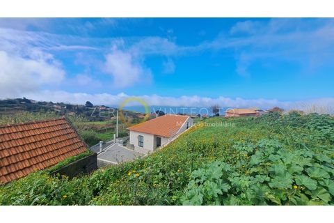 Terra a Ponta do Pargo, Madeira, Ponta do Pargo - € 135.000 | Ref: 028-050 - foto 7