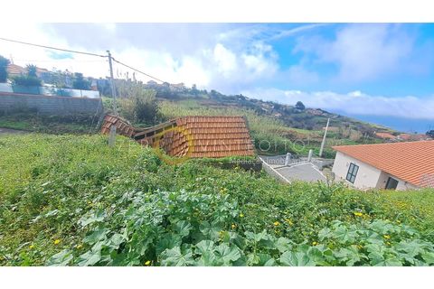 Terra a Ponta do Pargo, Madeira, Ponta do Pargo - € 135.000 | Ref: 028-050 - foto 9