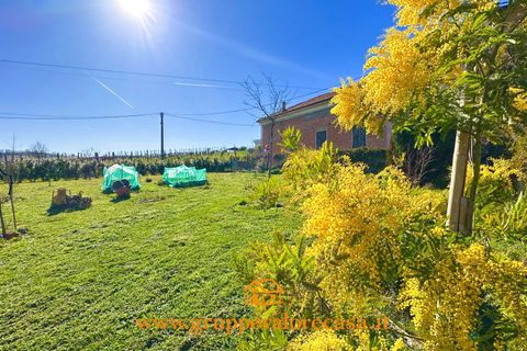 Villa a Cassine, Alessandria, Cassine - € 126.000 | Ref: 86779075 - foto 35