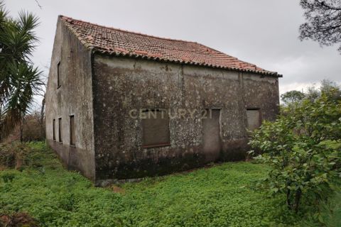 Helårsgrund i Castelo Branco, Castelo Branco, Castelo Branco - € 2.655.000 | Ref: C0434-01230 - foto 2