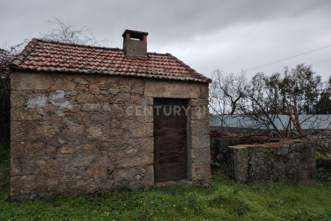 Helårsgrund i Castelo Branco, Castelo Branco, Castelo Branco - € 2.655.000 | Ref: C0434-01230 - foto 5