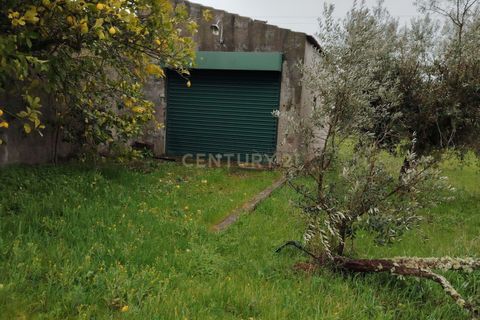 Helårsgrund i Castelo Branco, Castelo Branco, Castelo Branco - € 2.655.000 | Ref: C0434-01230 - foto 7