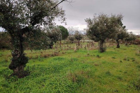 Helårsgrund i Castelo Branco, Castelo Branco, Castelo Branco - € 2.655.000 | Ref: C0434-01230 - foto 12