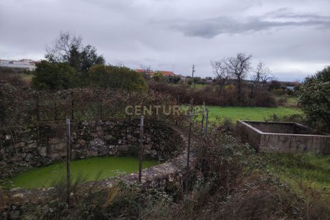 Helårsgrund i Castelo Branco, Castelo Branco, Castelo Branco - € 2.655.000 | Ref: C0434-01230 - foto 13