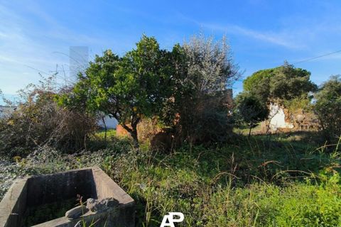 Villa a Couco, Santarem, Couco - € 55.000 | Ref: KWPT-025663 - foto 13