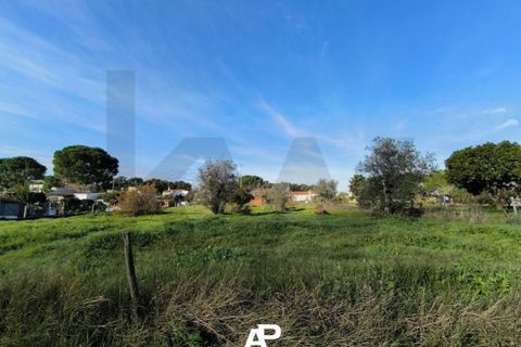 Villa a Couco, Santarem, Couco - € 55.000 | Ref: KWPT-025663 - foto 17