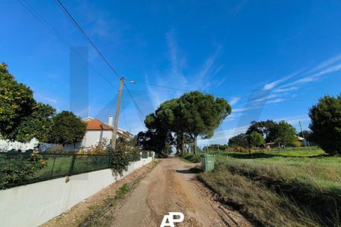 Villa a Couco, Santarem, Couco - € 55.000 | Ref: KWPT-025663 - foto 20