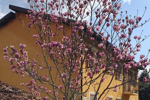 Villa a Carrodano, La Spezia, Carrodano - € 520.000 | Ref: 1813 - foto 6