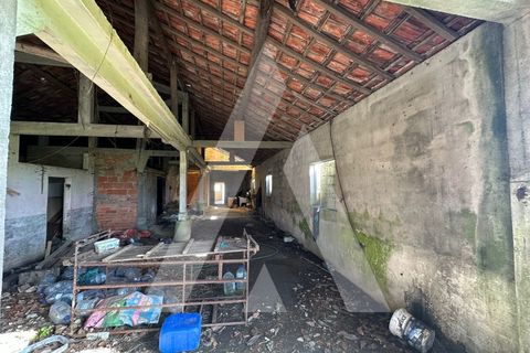 Villa i Oliveira do Bairro, Aveiro, Oliveira do Bairro - € 110.000 | Ref: 1051393/26 OB - foto 9