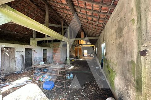 Villa i Oliveira do Bairro, Aveiro, Oliveira do Bairro - € 110.000 | Ref: 1051393/26 OB - foto 16