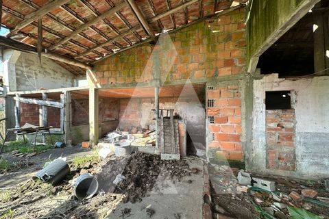 Villa i Oliveira do Bairro, Aveiro, Oliveira do Bairro - € 110.000 | Ref: 1051393/26 OB - foto 17