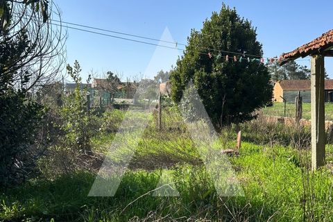 Villa i Oliveira do Bairro, Aveiro, Oliveira do Bairro - € 110.000 | Ref: 1051393/26 OB - foto 18