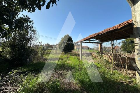 Villa i Oliveira do Bairro, Aveiro, Oliveira do Bairro - € 110.000 | Ref: 1051393/26 OB - foto 19