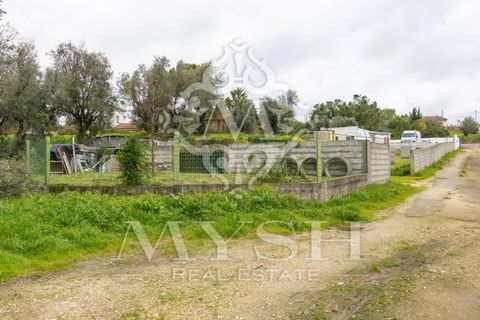 Helårsgrund i Rio Maior, Santarem, Rio Maior - € 99.000 | Ref: 777-20 - foto 37