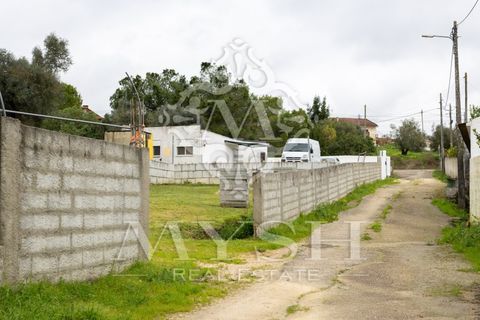 Helårsgrund i Rio Maior, Santarem, Rio Maior - € 99.000 | Ref: 777-20 - foto 38