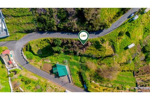 Terra a Camacha, Madeira, Camacha - € 35.000 | Ref: RHG26005 - foto 2