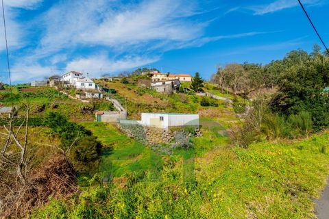 Terra a Camacha, Madeira, Camacha - € 35.000 | Ref: RHG26005 - foto 3
