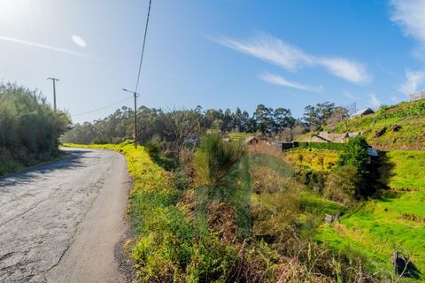 Terra a Camacha, Madeira, Camacha - € 35.000 | Ref: RHG26005 - foto 4