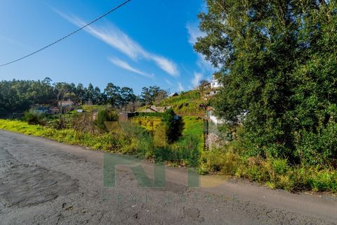 Terra a Camacha, Madeira, Camacha - € 35.000 | Ref: RHG26005 - foto 5