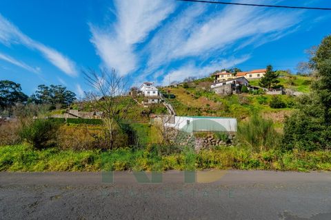 Terra a Camacha, Madeira, Camacha - € 35.000 | Ref: RHG26005 - foto 6