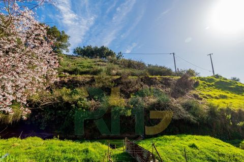 Terra a Camacha, Madeira, Camacha - € 35.000 | Ref: RHG26005 - foto 7