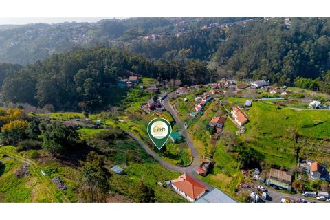 Terra a Camacha, Madeira, Camacha - € 35.000 | Ref: RHG26005 - foto 8