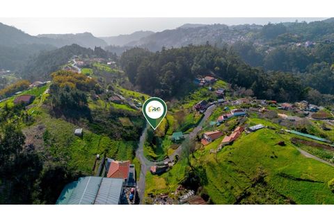 Terra a Camacha, Madeira, Camacha - € 35.000 | Ref: RHG26005 - foto 9