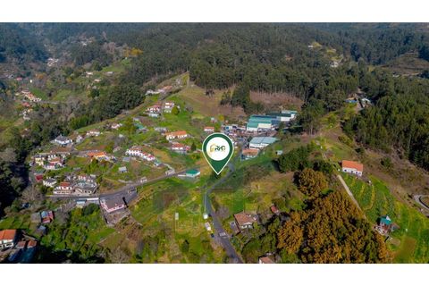 Terra a Camacha, Madeira, Camacha - € 35.000 | Ref: RHG26005 - foto 11