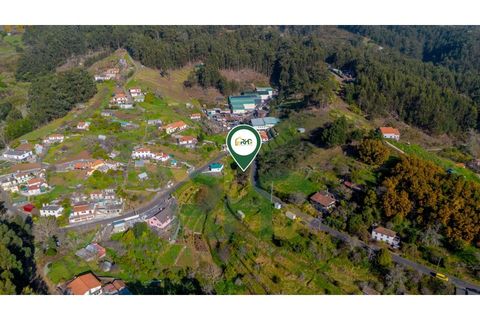 Terra a Camacha, Madeira, Camacha - € 35.000 | Ref: RHG26005 - foto 12