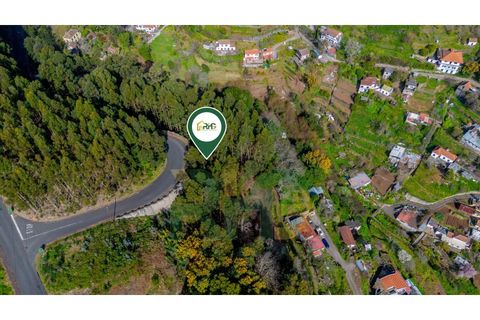Terra a Camacha, Madeira, Camacha - € 27.500 | Ref: RHG26009 - foto 2